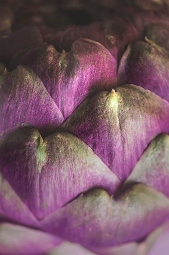 Artichoke texture background. Ingredients of southern Italian cuisine