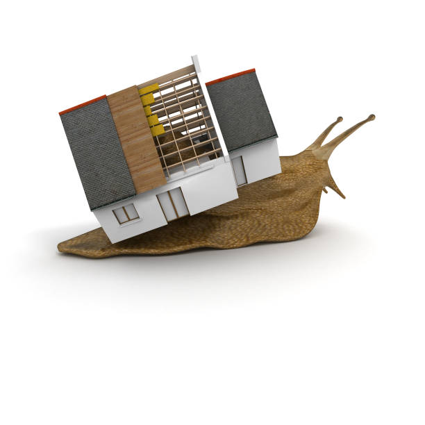 istock House of a snail 92271885
