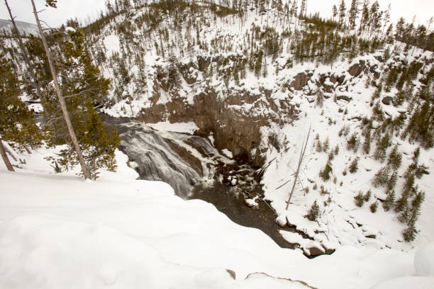 istock Upper Falls on Yellowstone River in Yellowstone National Park 922720276