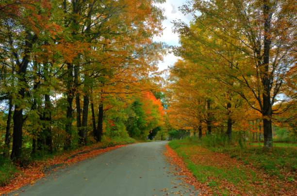 istock Mountain lane in Autumn 922720672