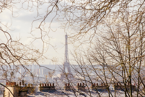 Winter time in Paris is a nice season to admire the EiIffel tower and the roofs of Paris from the Montmartre hills