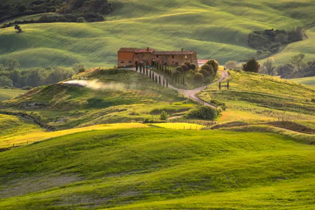 Tuscany, rural sunset landscape. Countryside farm, cypresses trees, green field,Italy, Europe.