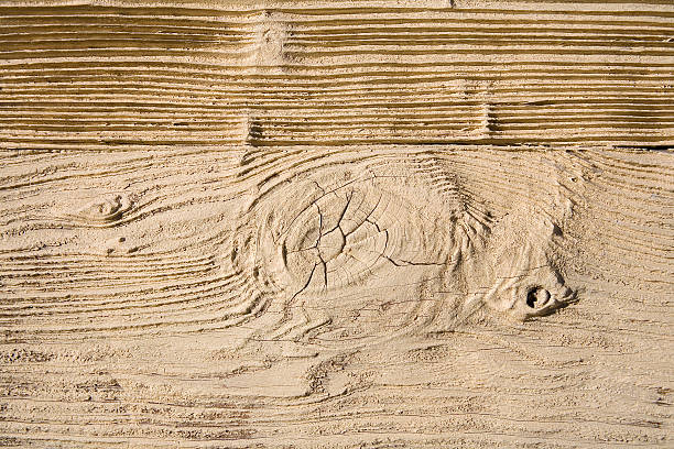 Sandblasted Wood Grain. stock photo