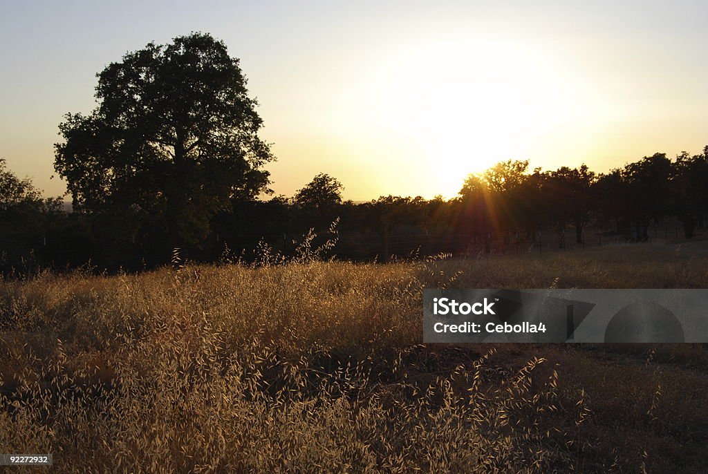 Tramonto sopra la valle - Foto stock royalty-free di Ambientazione