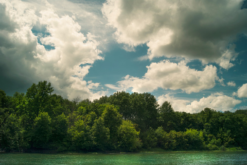 Forest above the river under the summer cloudy sky