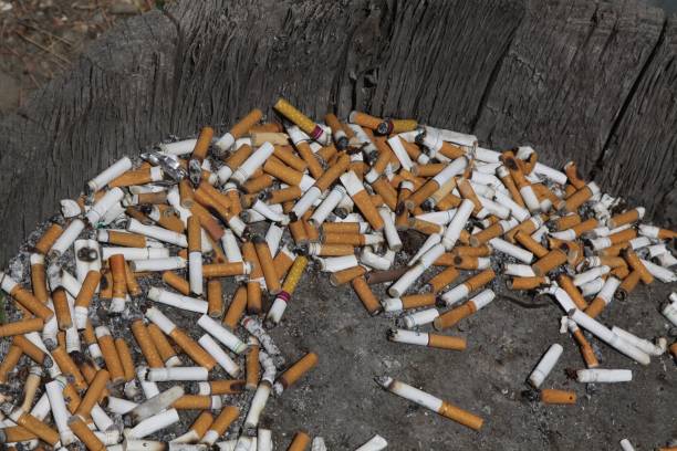 istock Disgusting Collection Of Cigarette Butts 922733356