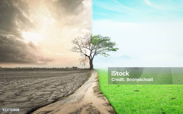 El Día Que El Mundo Cambió El Concepto De Foto de stock y más banco de imágenes de Cambio - Cambio, Clima, Medio ambiente
