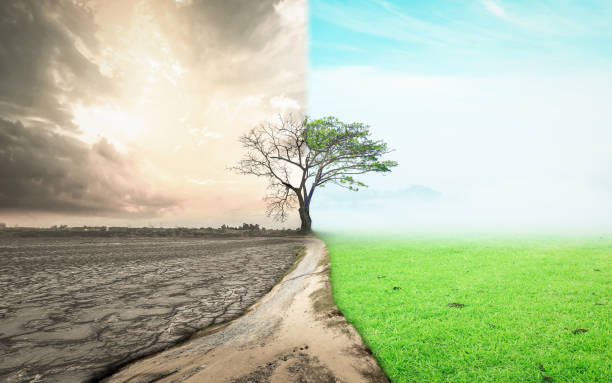 The day the world changed concept Half drought and half abundance tree standing landscape background environmental damage photos stock pictures, royalty-free photos & images