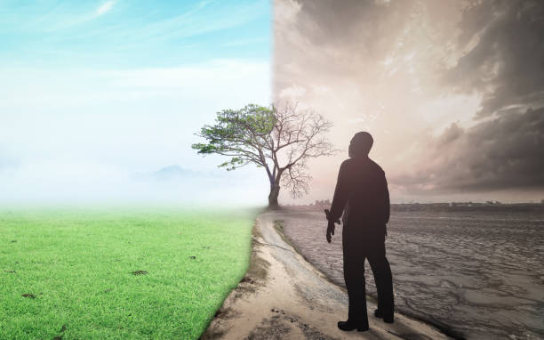 World change and global warming concept Business man standing between climate worsened with good atmosphere habitat destruction stock pictures, royalty-free photos & images
