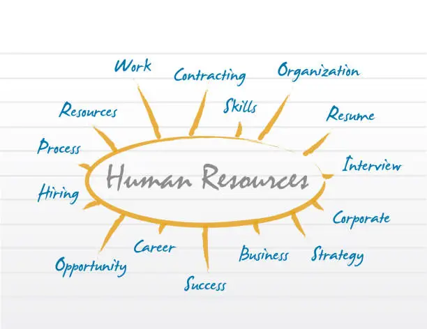 Vector illustration of HR human resources diagram model.