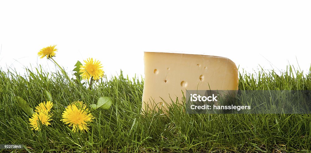 Holandés queso fresco - Foto de stock de Agricultura libre de derechos