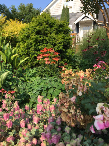 istock A garden in summer sunlight 922743930