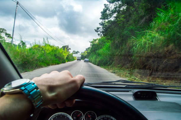 istock Driving at day, view into the green nature 922744302