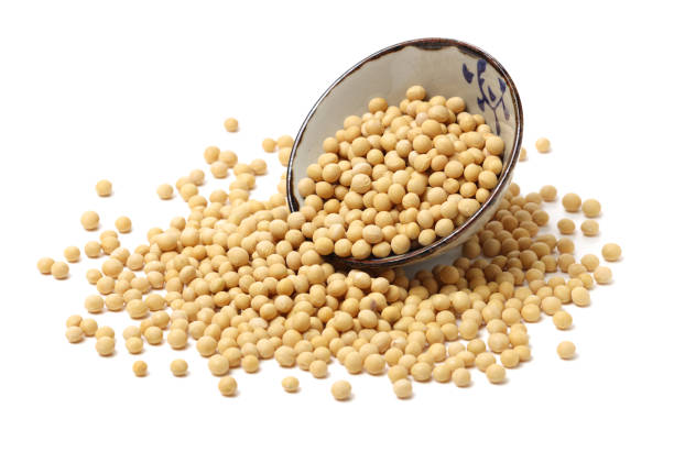 istock Gold soybean on the white background 922744666