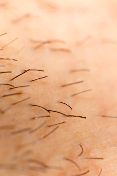 istock Bristles on the beard of a man 922744702