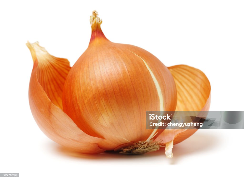 Fresh onion bulb isolated on white. With clipping path Onion Stock Photo