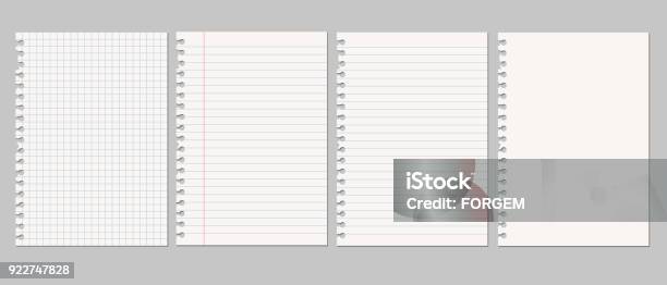Set Of Vector Realistic Illustrations Of A Torn Sheet Of Paper From A Workbook With Shadow Isolated On A Gray Background Stock Illustration - Download Image Now