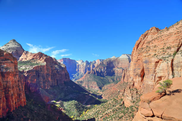 istock Scenic Zion Park Scenic Landscapes 922749338