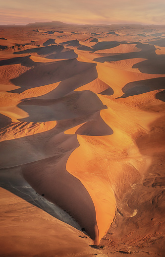 Vertical image of dramatic line of sand dunes in warm sunset tones.