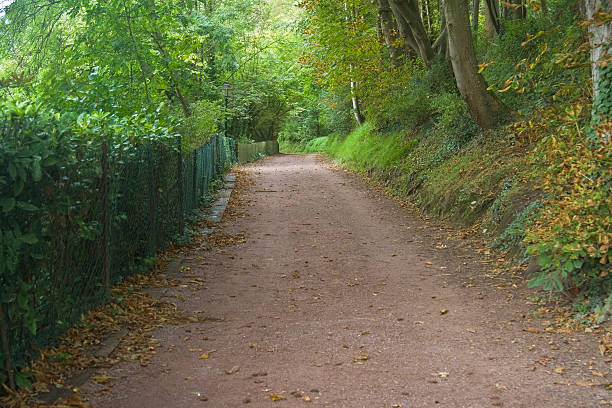 istock Lazy country Road 92275315
