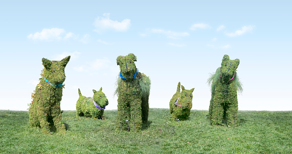 Topiary Group of Dogs on grass.