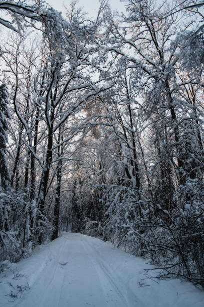 istock Winter road in black and white tones 922755398