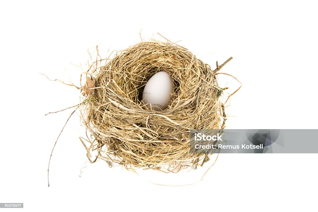 Птица гнездо - Стоковые фото Nest egg - английское выражение роялти-фри