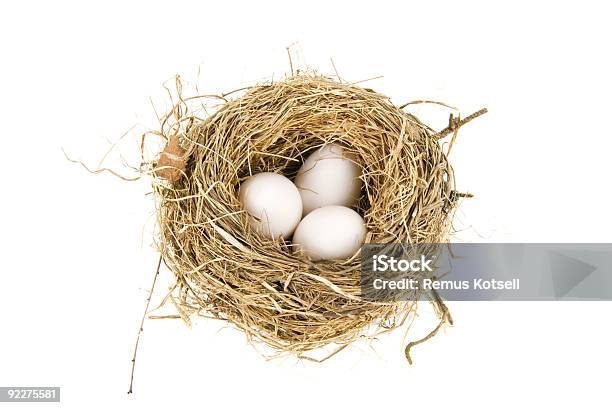 Гнездо — стоковые фотографии и другие картинки Nest egg - английское выражение - Nest egg - английское выражение, Без людей, Белый