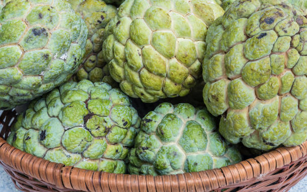 istock Closeup green custard apple textured background 922756648