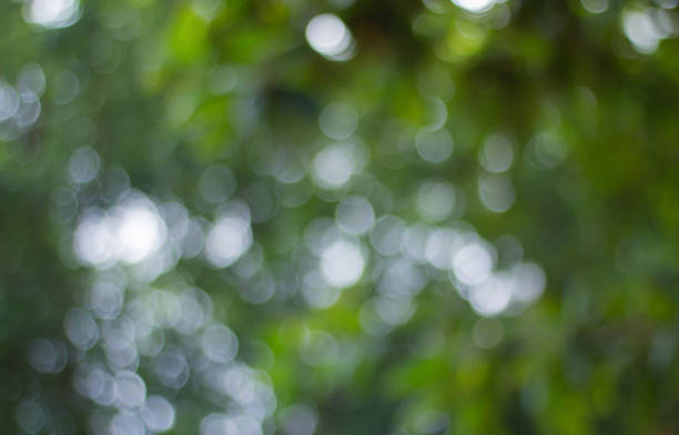 istock Abtract background with Green Bokeh,Green Background 922759538
