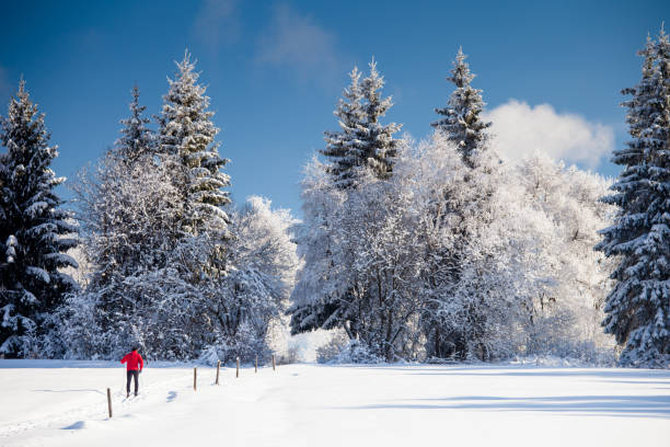 istock young man cross-country skiing 922759860
