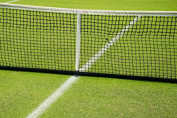 istock Grass Tennis Court Net 92276001