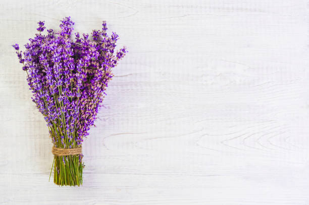 istock fresh lavender flowers on white wood table background free space 922760116