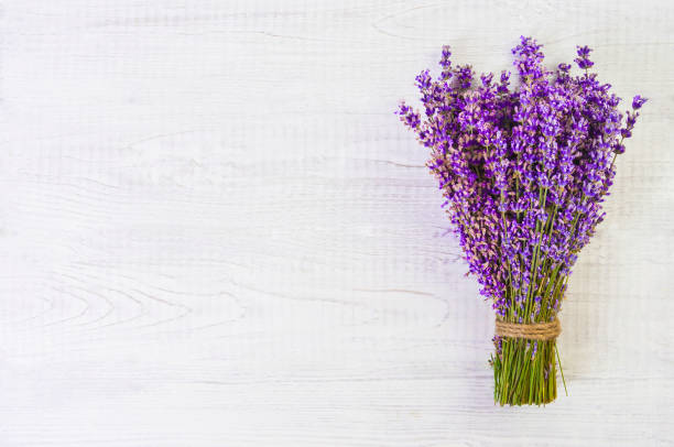 istock fresh lavender flowers on white wood table background free space 922760226