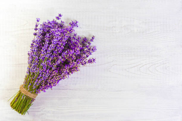 istock fresh lavender flowers on white wood table background free space 922760274