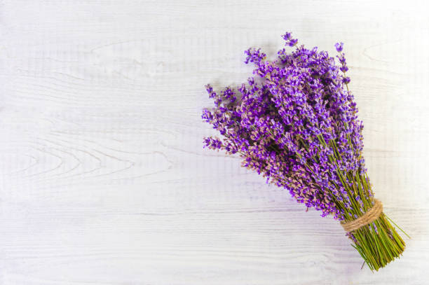 istock fresh lavender flowers on white wood table background free space 922760316