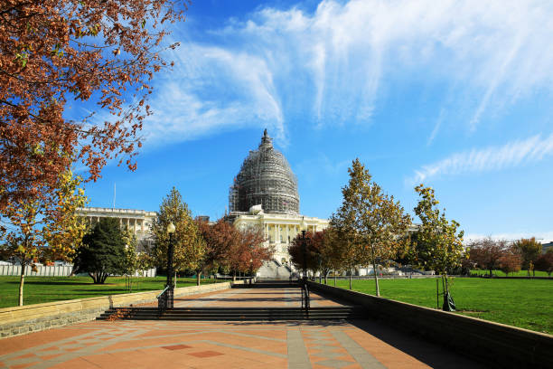 istock The Washington Capitol building under repair 922761238