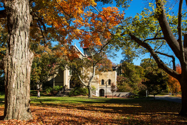 istock Country Road in Autumn 922761268