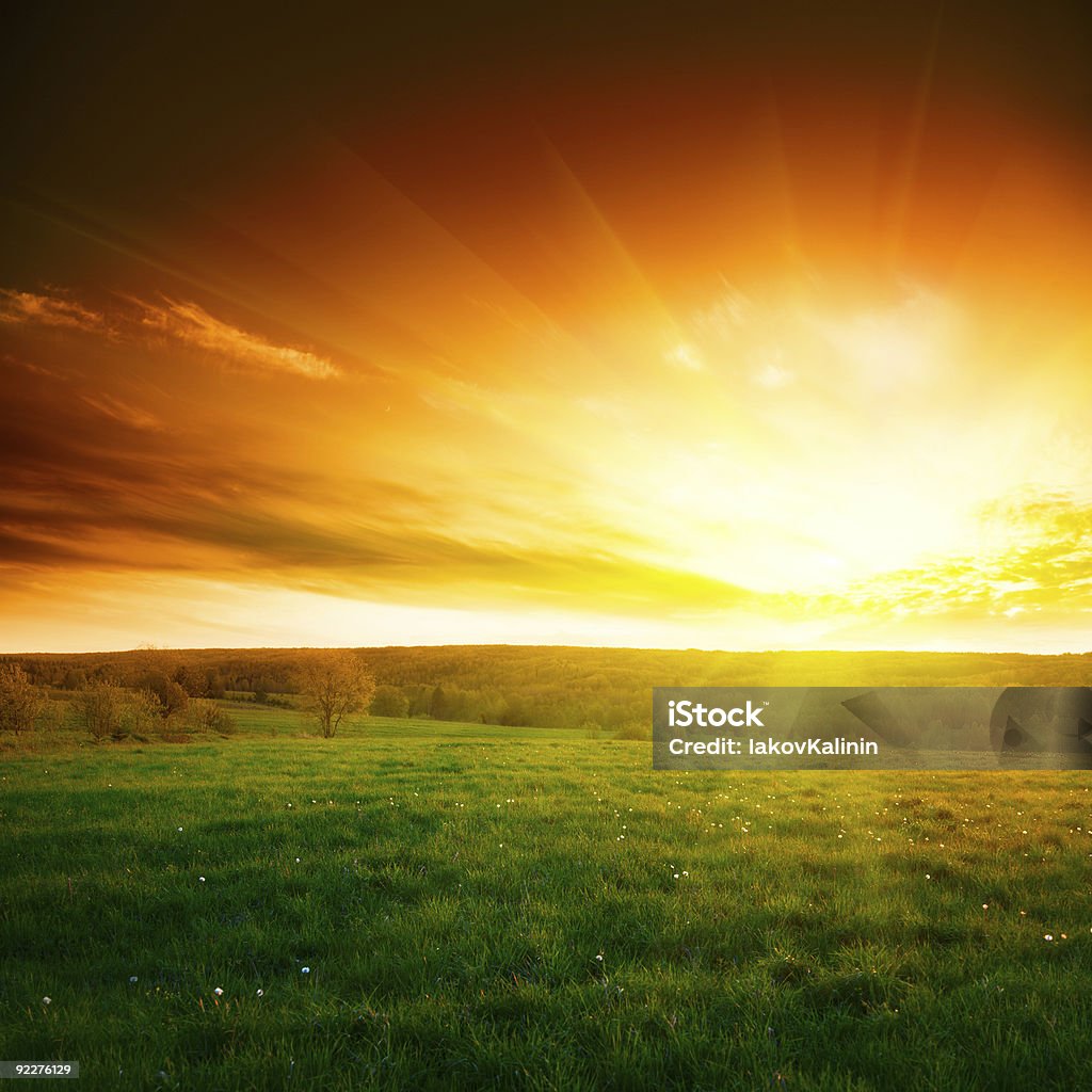 A stunningly beautiful spring sunset My IStock Lightbox LANDSCAPE SUNSETS Agricultural Field Stock Photo