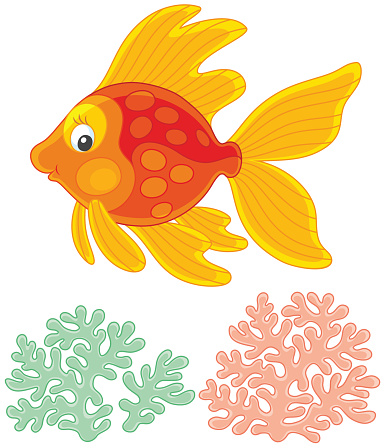 Tropical goldfish friendly smiling and swimming over corals, a vector illustration in a funny cartoon style