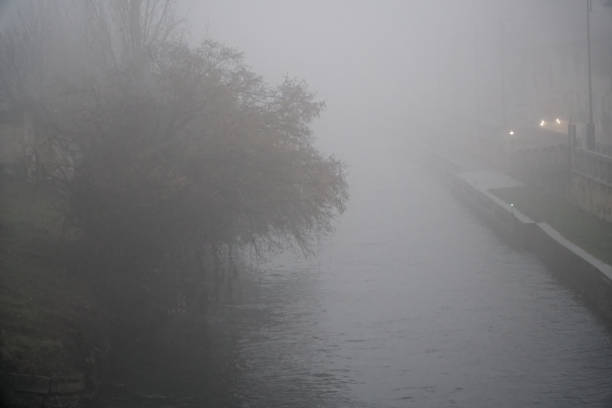 istock Foggy water canal channel with trees on river bank 922764050