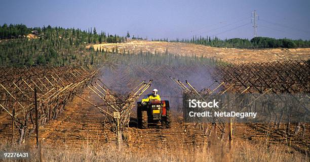 La Agricultura En Israel Foto de stock y más banco de imágenes de Agricultura - Agricultura, Israel, Agricultor