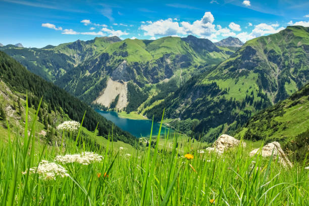 istock View from alpine meadow to lake and mountains. spring summer 922765806
