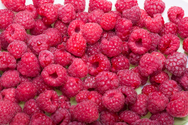 istock A beautiful selection of freshly picked ripe red raspberries. 922766014