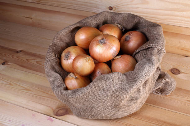 istock Onion in bag. Autumn harvest 922767040