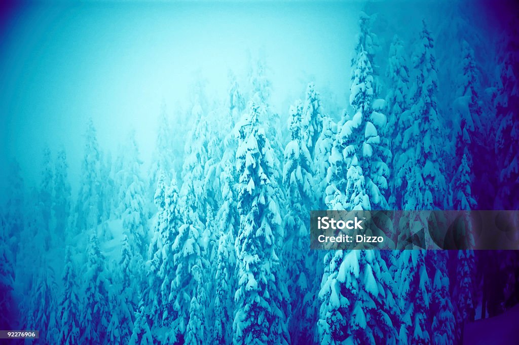 Dezente mit Schnee bedeckten Weihnachtsbaum Hintergrund - Lizenzfrei Abstrakt Stock-Foto
