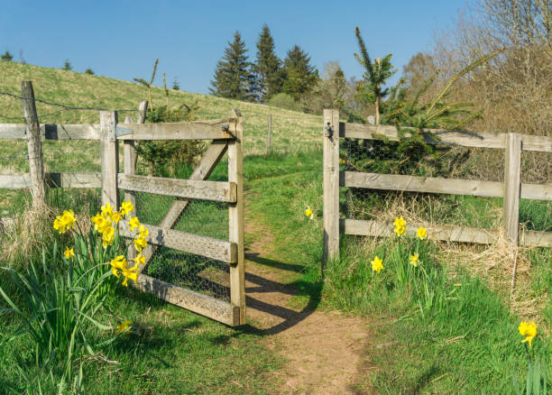 Hiking trail through gate and flowers. Road to success. Springtime. stock photo