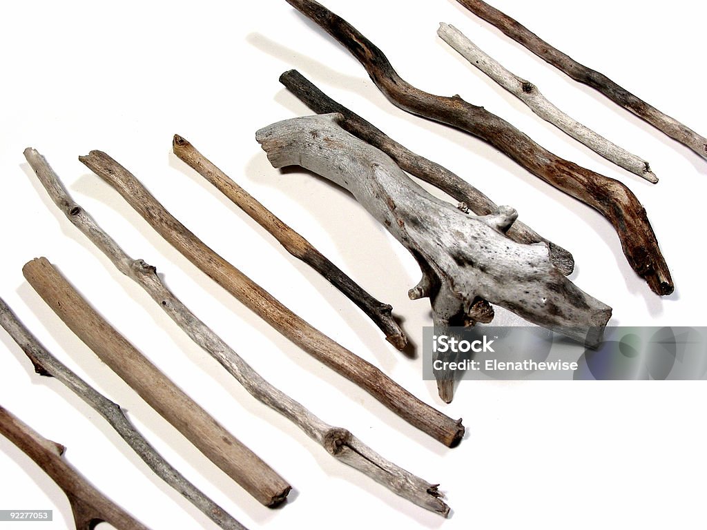 O twigs mar - Foto de stock de Antigo royalty-free