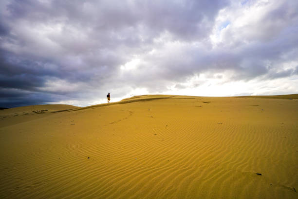 istock Sand dunes in Vietnam 922772598