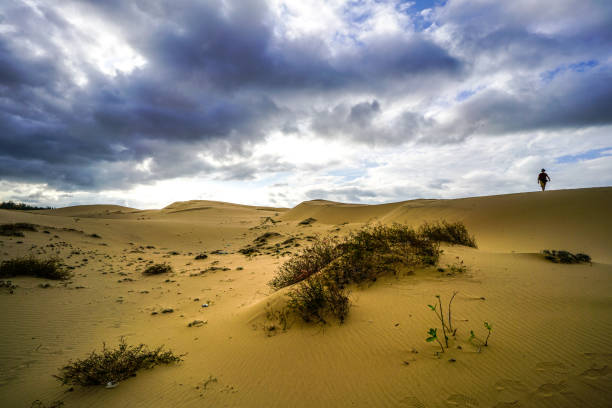 istock Sand dunes in Vietnam 922772632